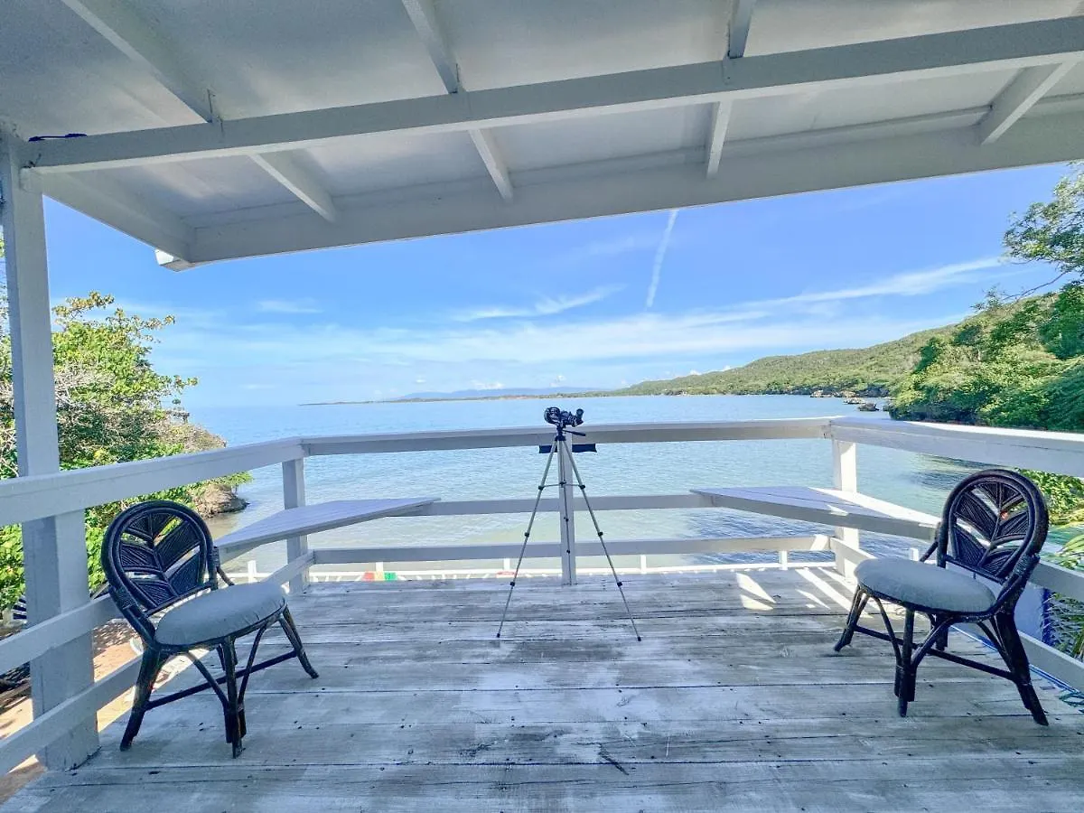 Guest house Unforgettable Villa Treasure Beach