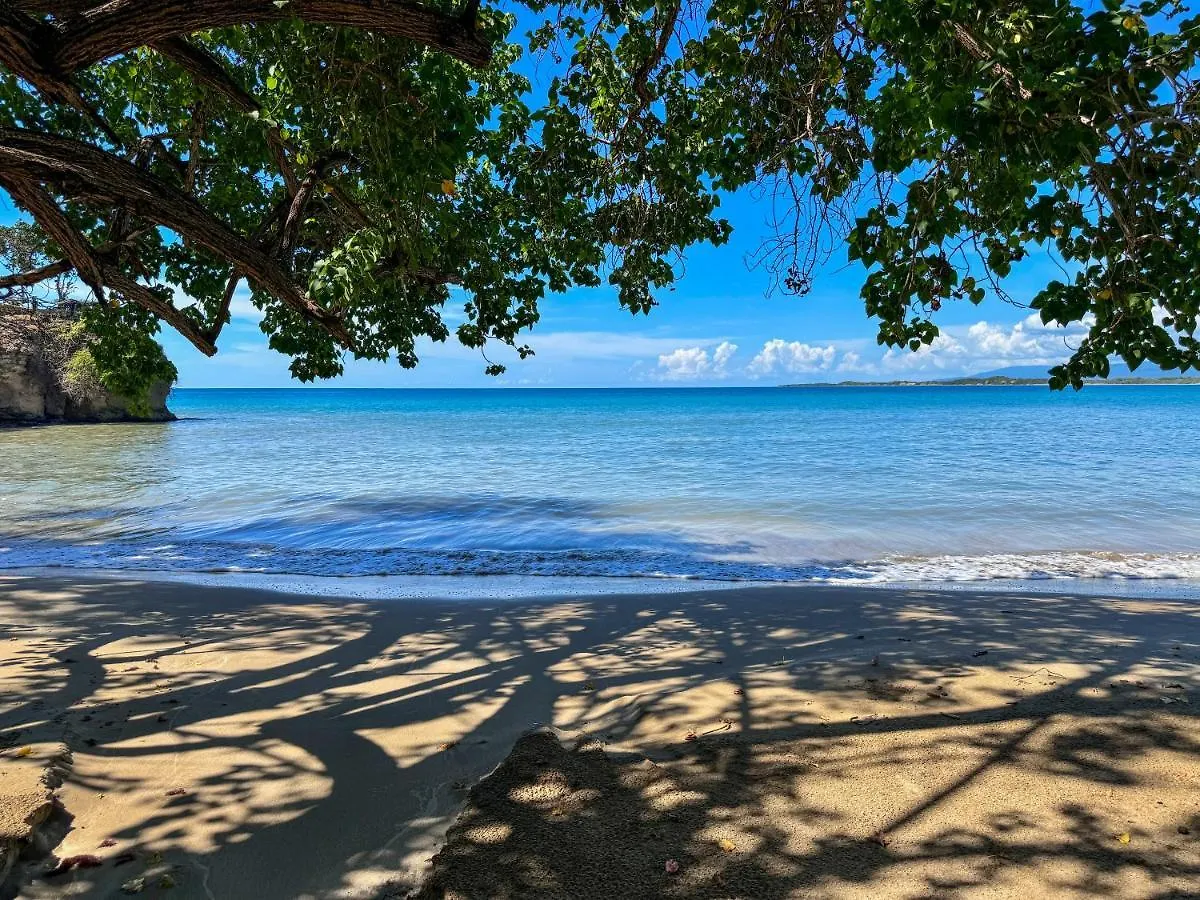 Guest house Unforgettable Villa Treasure Beach Jamaica